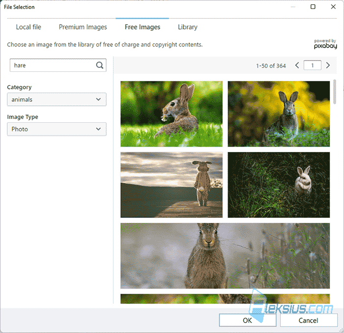 Files from online galleries