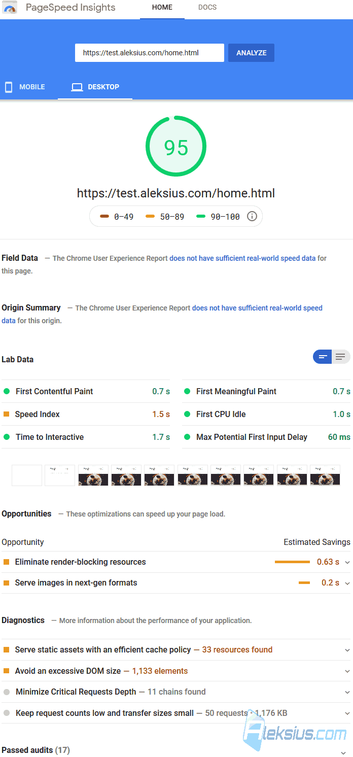 Google Pagespeed Insights (Desktop) after optimization