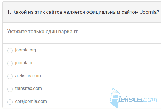 Единственный ответ (Радио)