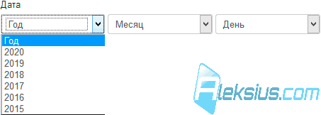 Поле Спадающий выбор даты
