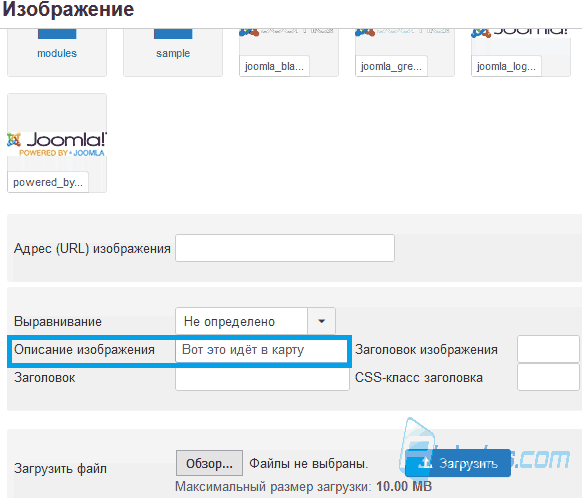 Описание изображения