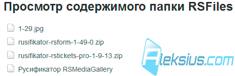 Просмотр содержимого папки RSFiles (фронтальная часть) Просмотр содержимого папки RSFiles (фронтальная часть)