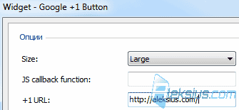 Google +1 Button