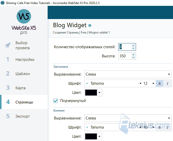 WebSite X5